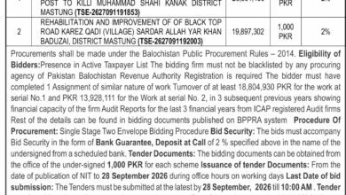 Mastung Road Development Tender 2026 Key Project Details